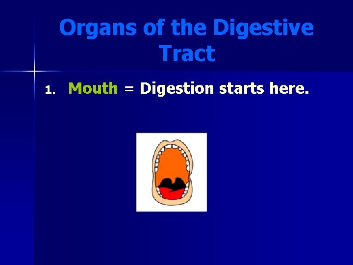 Organs of the Digestive Tract 1. Mouth = Digestion starts here. 