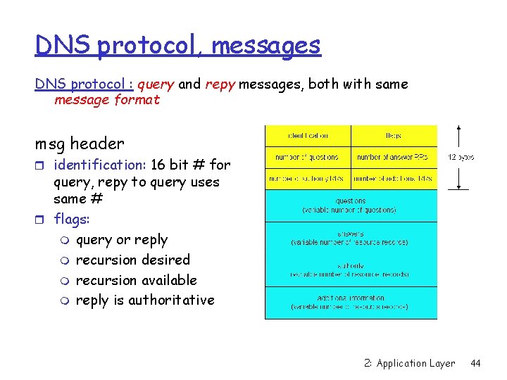 DNS protocol, messages DNS protocol : query and repy messages, both with same message