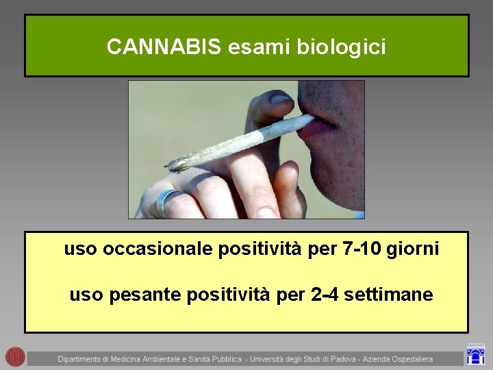 CANNABIS esami biologici uso occasionale positività per 7 -10 giorni uso pesante positività per