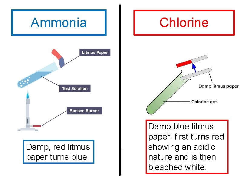 Ammonia Damp, red litmus paper turns blue. Chlorine Damp blue litmus paper. first turns