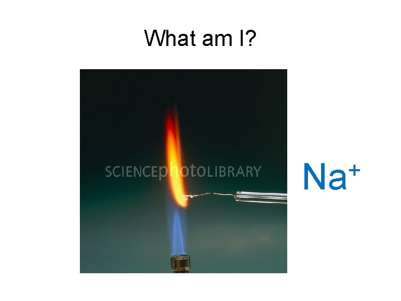 What am I? + Na 