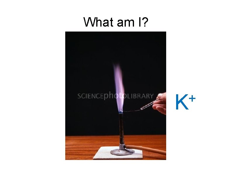 What am I? + K 