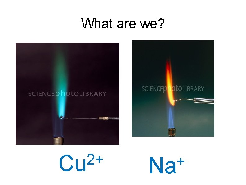 What are we? 2+ Cu & + Na 