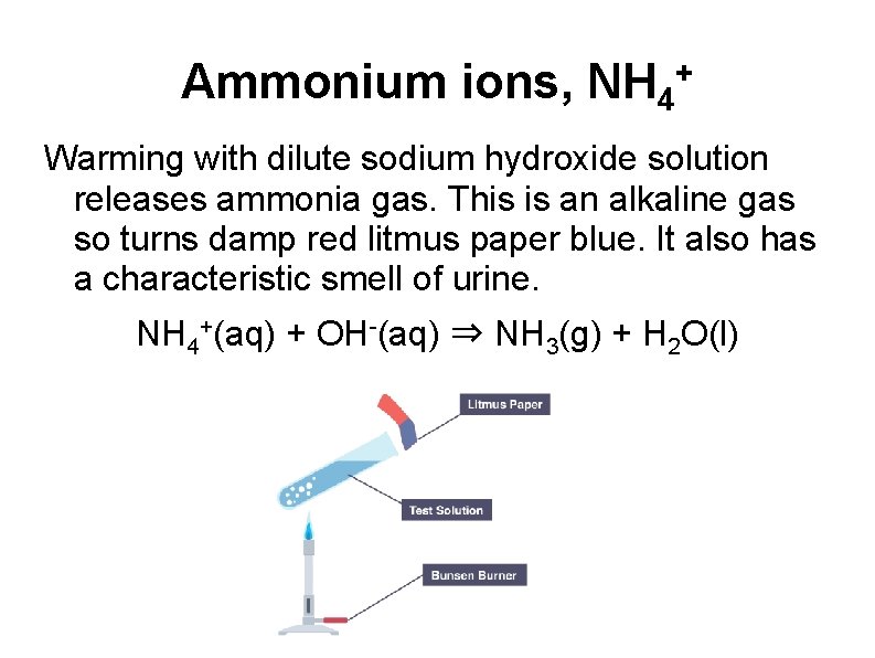 Ammonium ions, NH 4 + Warming with dilute sodium hydroxide solution releases ammonia gas.