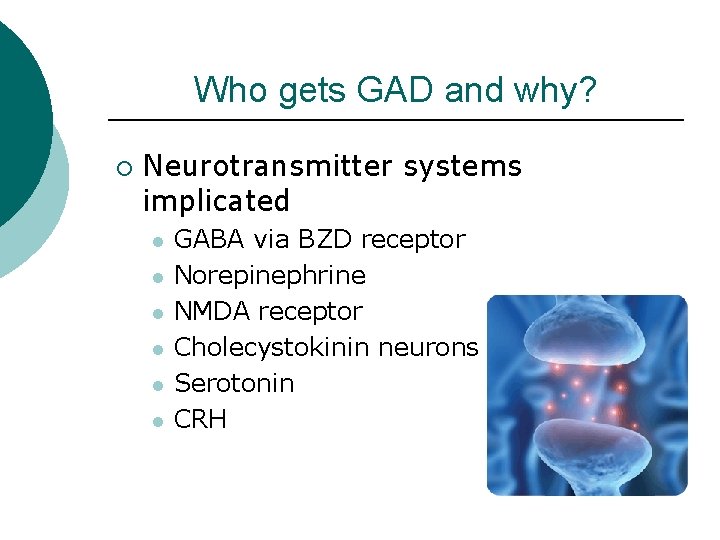 Who gets GAD and why? ¡ Neurotransmitter systems implicated l l l GABA via