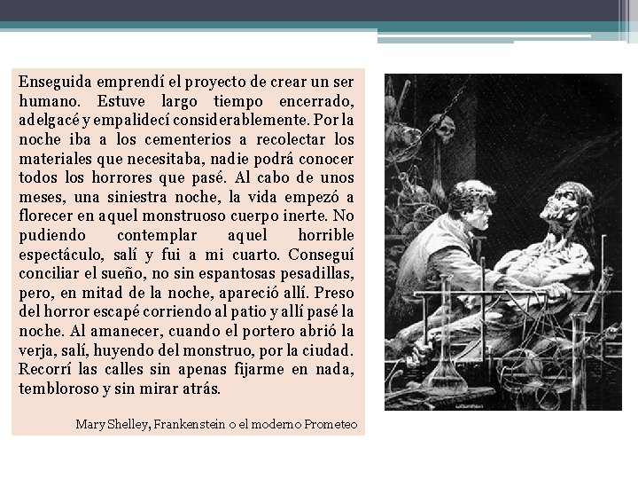 Enseguida emprendí el proyecto de crear un ser humano. Estuve largo tiempo encerrado, adelgacé