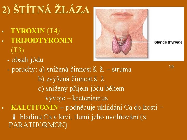 2) ŠTÍTNÁ ŽLÁZA § § § TYROXIN (T 4) TRIJODTYRONIN (T 3) - obsah