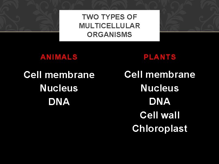 TWO TYPES OF MULTICELLULAR ORGANISMS ANIMALS PLANTS Cell membrane Nucleus DNA Cell wall Chloroplast