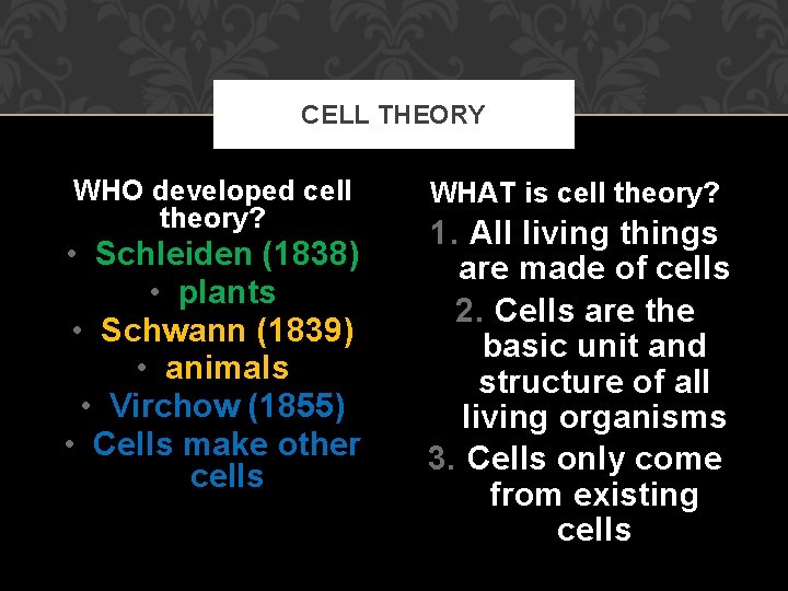 CELL THEORY WHO developed cell theory? • Schleiden (1838) • plants • Schwann (1839)