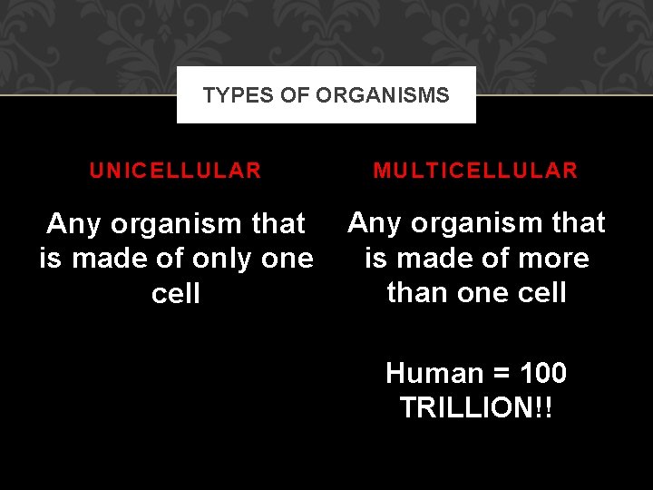 TYPES OF ORGANISMS UNICELLULAR MULTICELLULAR Any organism that is made of only one cell