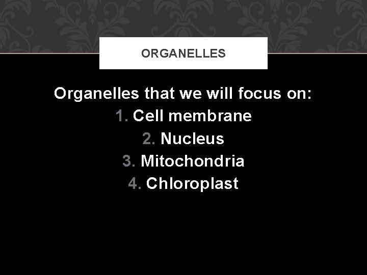 ORGANELLES Organelles that we will focus on: 1. Cell membrane 2. Nucleus 3. Mitochondria