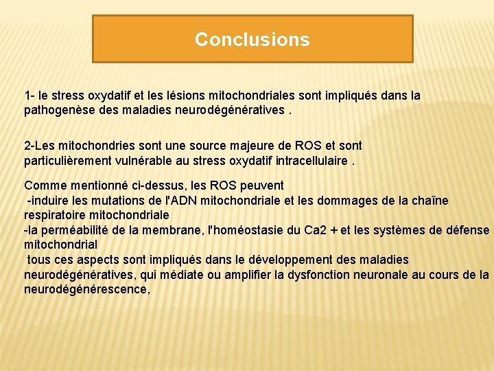 Conclusions 1 - le stress oxydatif et les lésions mitochondriales sont impliqués dans la