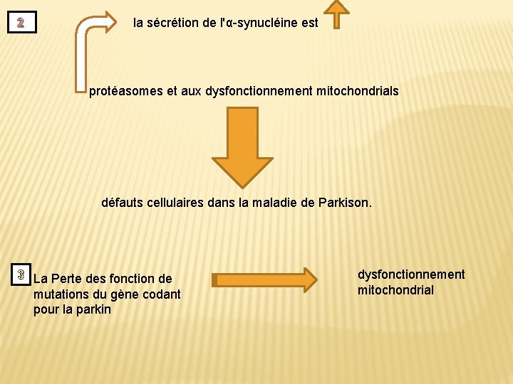 2 la sécrétion de l'α-synucléine est protéasomes et aux dysfonctionnement mitochondrials défauts cellulaires dans