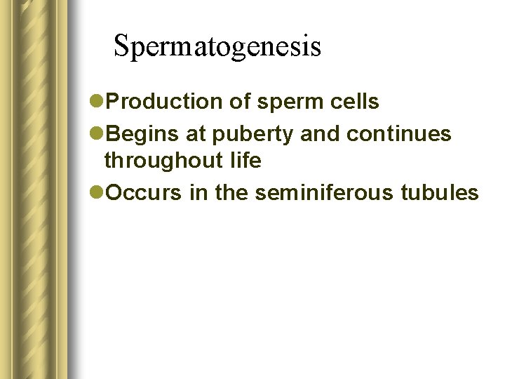 Spermatogenesis l. Production of sperm cells l. Begins at puberty and continues throughout life