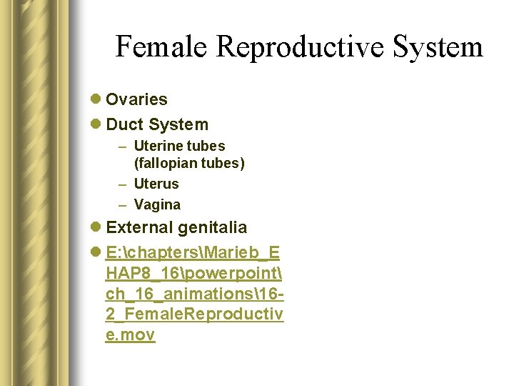 Female Reproductive System l Ovaries l Duct System – Uterine tubes (fallopian tubes) –