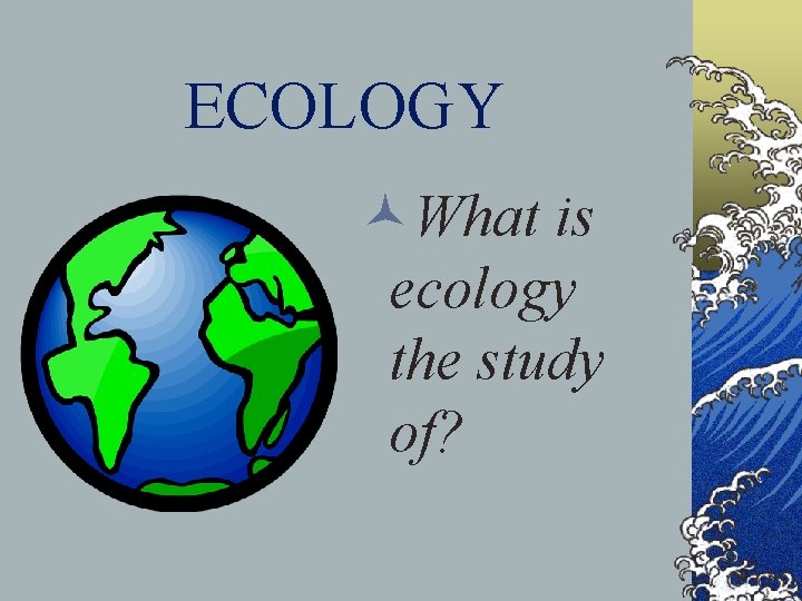 ECOLOGY ©What is ecology the study of? 