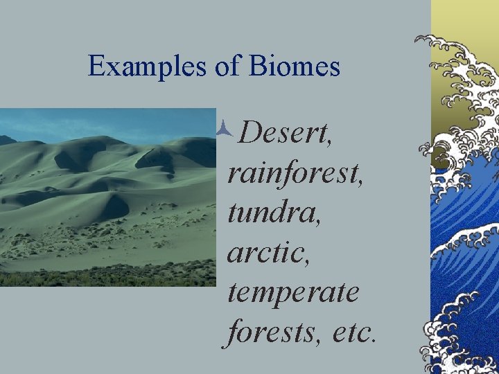 Examples of Biomes ©Desert, rainforest, tundra, arctic, temperate forests, etc. 