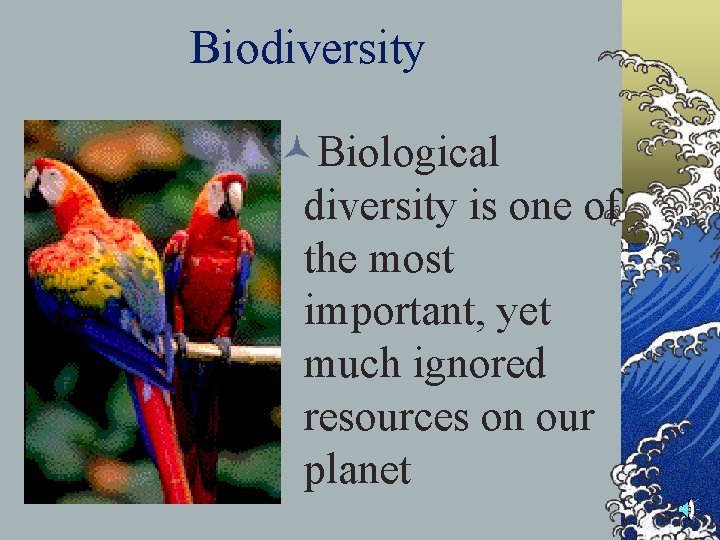 Biodiversity ©Biological diversity is one of the most important, yet much ignored resources on