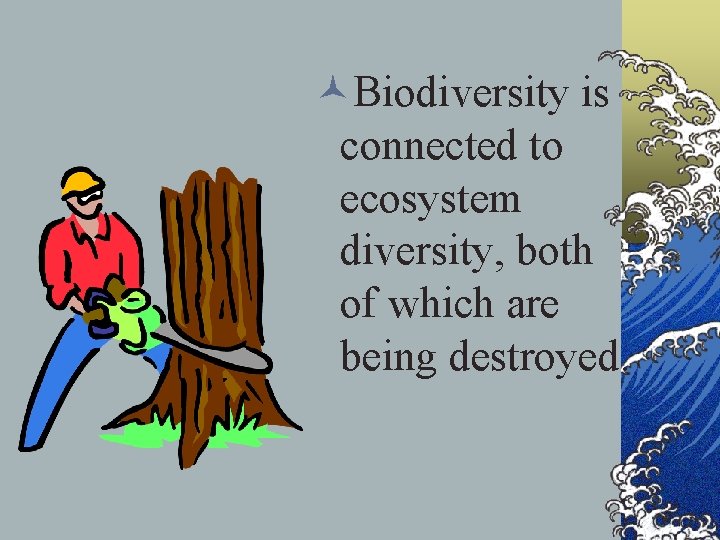 ©Biodiversity is connected to ecosystem diversity, both of which are being destroyed. 
