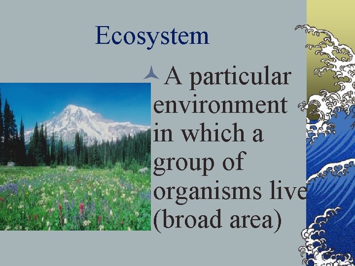 Ecosystem ©A particular environment in which a group of organisms live (broad area) 