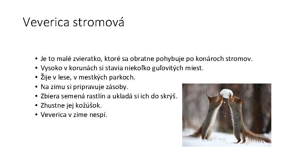 Veverica stromová • • Je to malé zvieratko, ktoré sa obratne pohybuje po konároch