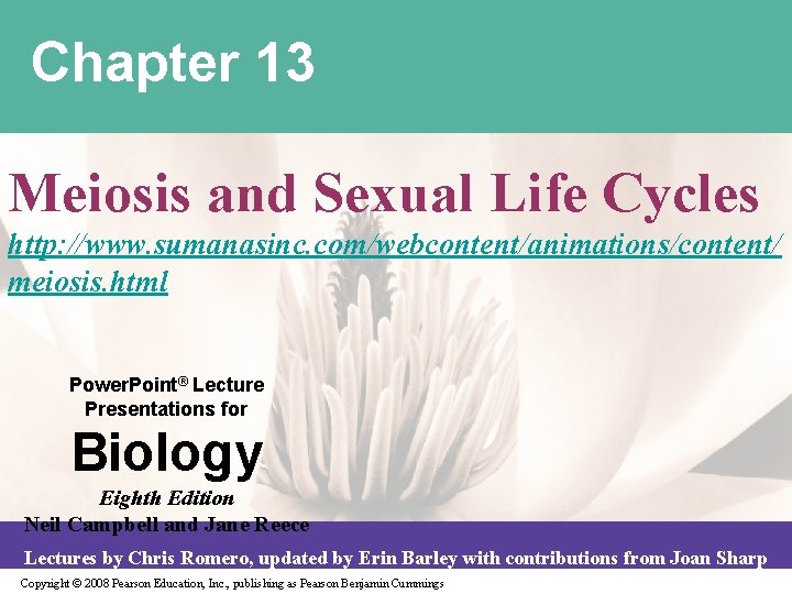 Chapter 13 Meiosis and Sexual Life Cycles http: //www. sumanasinc. com/webcontent/animations/content/ meiosis. html Power.