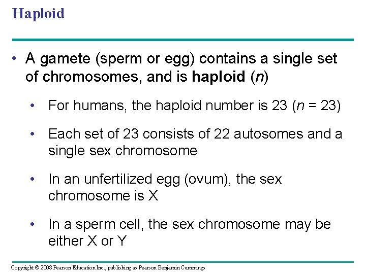 Haploid • A gamete (sperm or egg) contains a single set of chromosomes, and