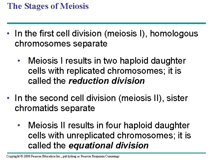 The Stages of Meiosis • In the first cell division (meiosis I), homologous chromosomes