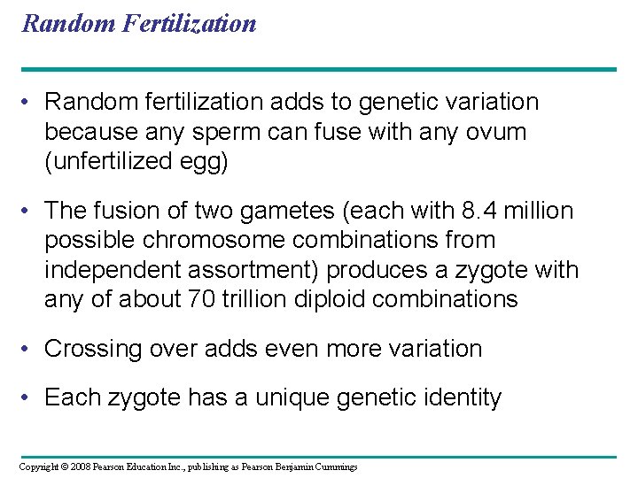 Random Fertilization • Random fertilization adds to genetic variation because any sperm can fuse