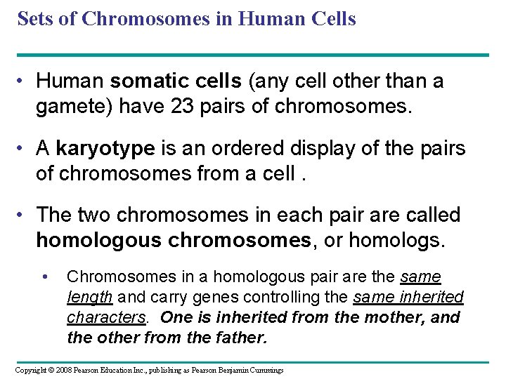 Sets of Chromosomes in Human Cells • Human somatic cells (any cell other than