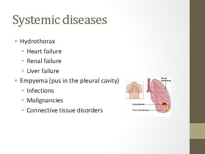 Systemic diseases • Hydrothorax • Heart failure • Renal failure • Liver failure •