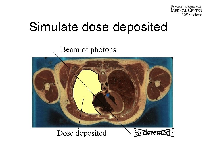 Simulate dose deposited 