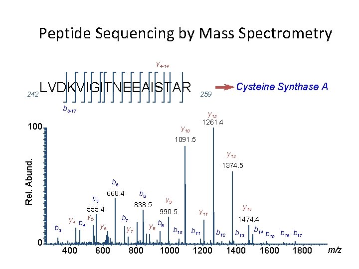 Peptide Sequencing by Mass Spectrometry y 4 -14 242 LVDKVIGITNEEAISTAR b 3 -17 100