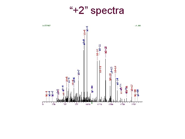 “+2” spectra 