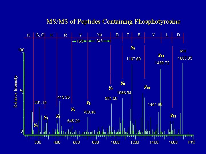 MS/MS of Peptides Containing Phosphotyrosine K G, G K R Y Yp 163 243