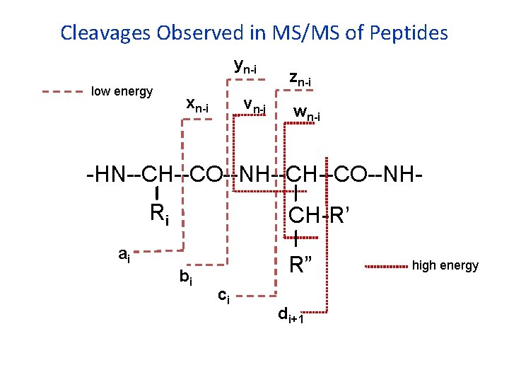 Cleavages Observed in MS/MS of Peptides yn-i low energy xn-i vn-i zn-i wn-i -HN--CH--CO--NHRi