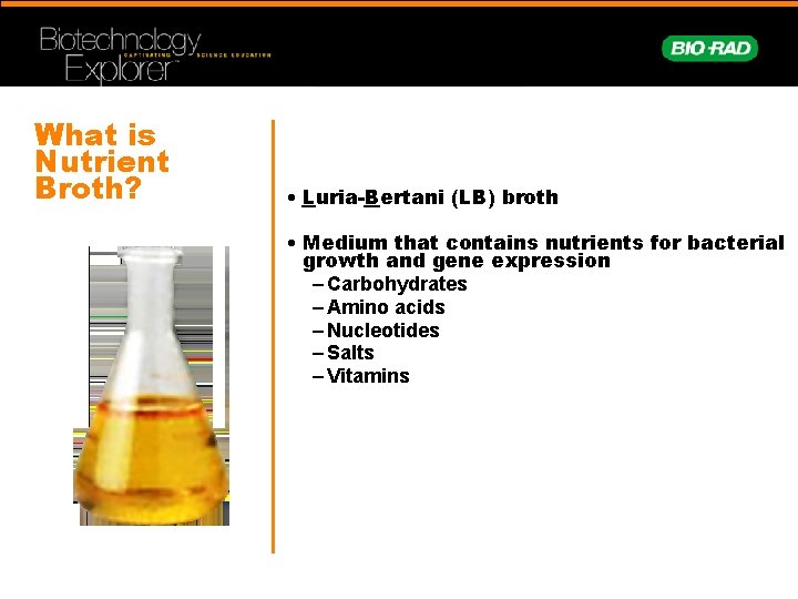 What is Nutrient Broth? • Luria-Bertani (LB) broth • Medium that contains nutrients for