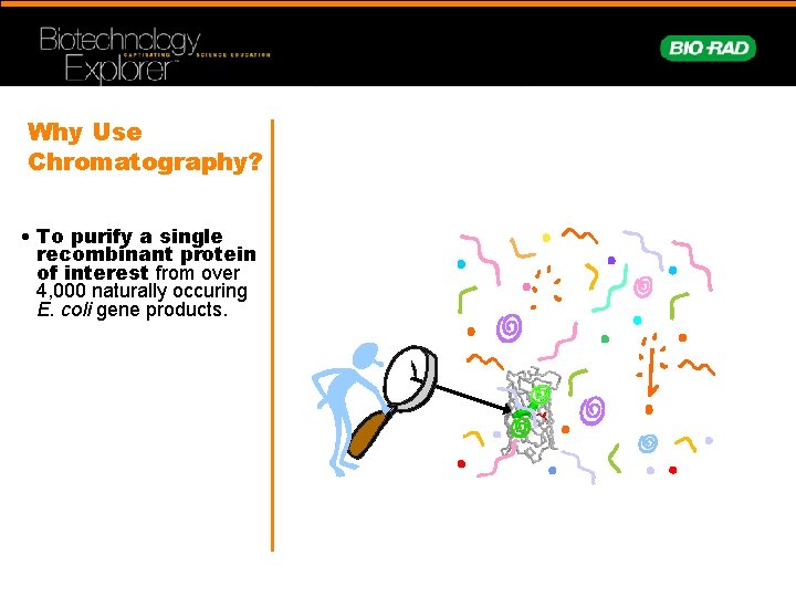 Why Use Chromatography? • To purify a single recombinant protein of interest from over