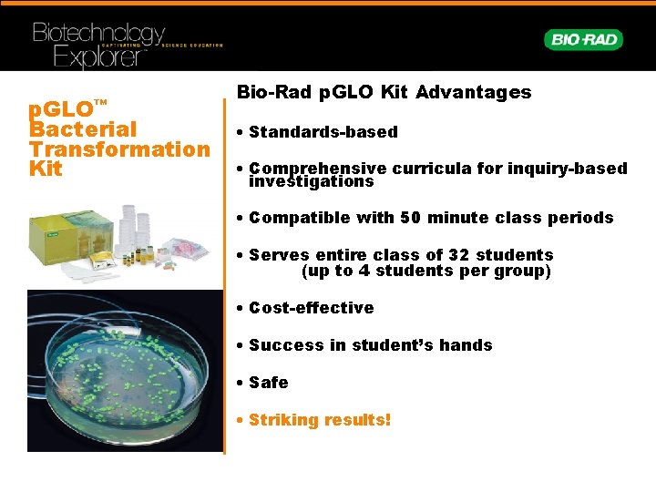 p. GLO™ Bacterial Transformation Kit Bio-Rad p. GLO Kit Advantages • Standards-based • Comprehensive