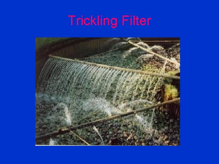 Trickling Filter 