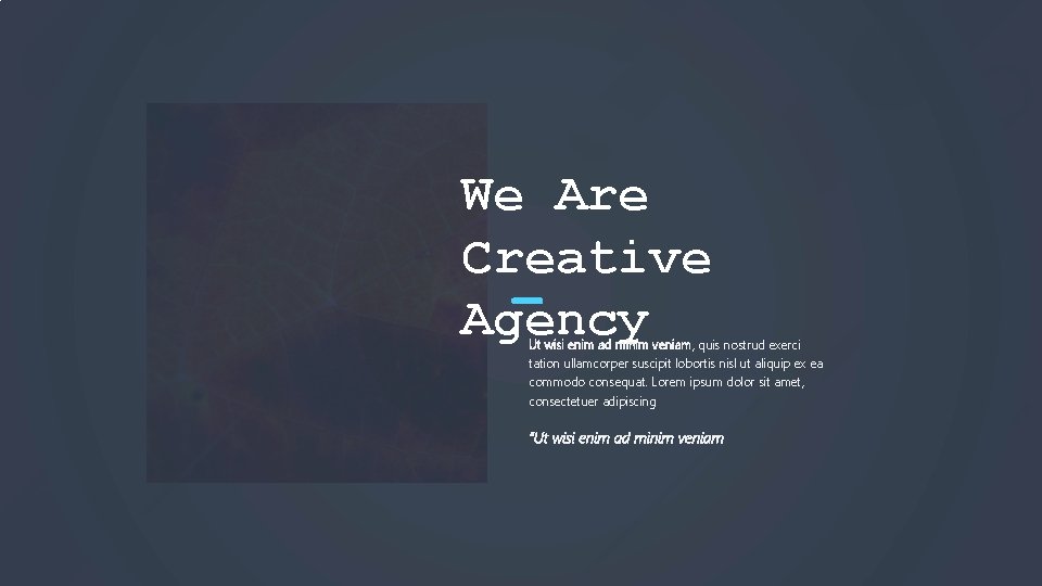 We Are Creative Agency Ut wisi enim ad minim veniam, quis nostrud exerci tation