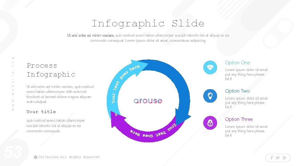 Infographic Slide W W W. W E B S I T E. C O