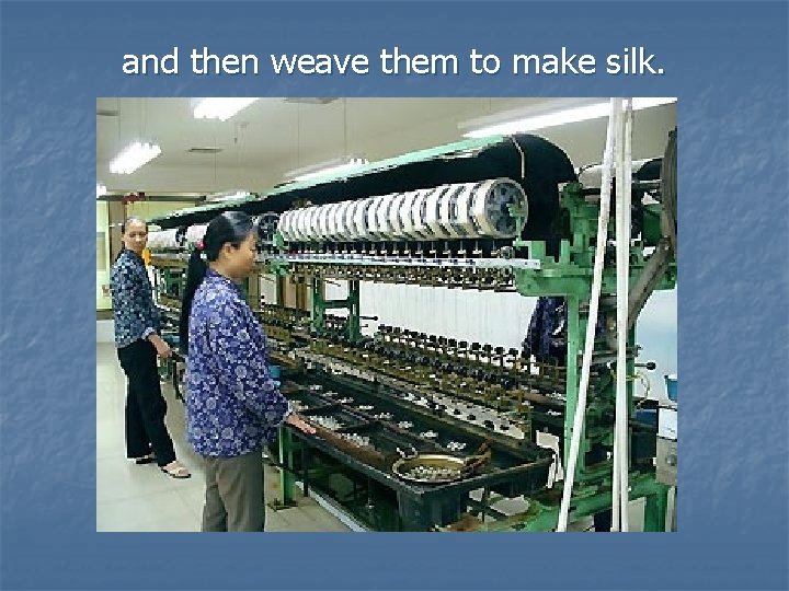 and then weave them to make silk. 