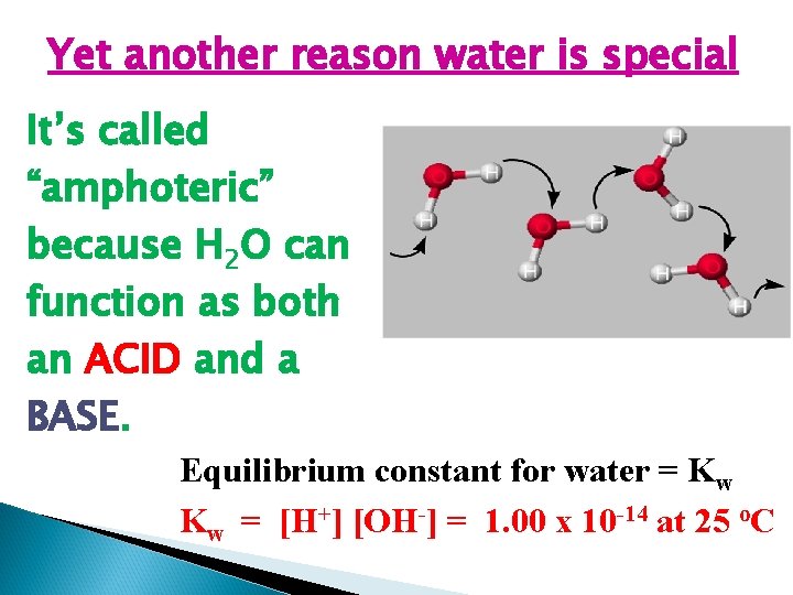 Yet another reason water is special It’s called “amphoteric” because H 2 O can