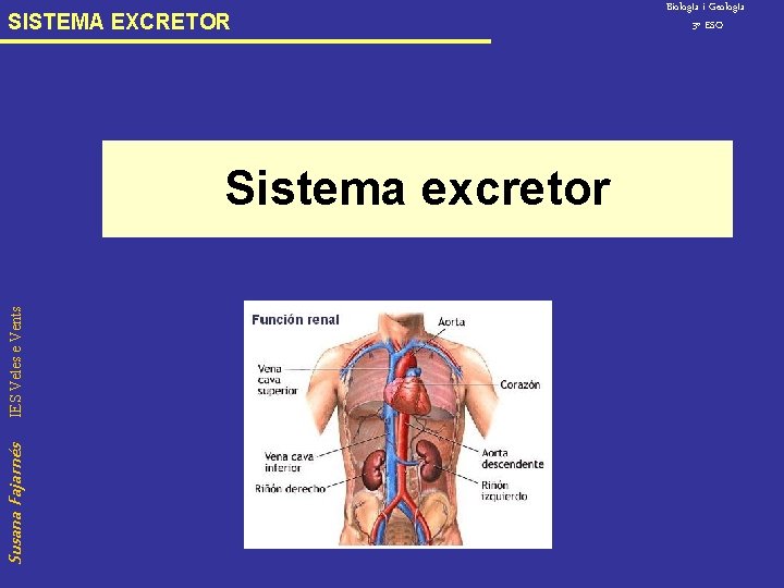 SISTEMA EXCRETOR Susana Fajarnés IES Veles e Vents Sistema excretor Biolog. Ia i Geolog.