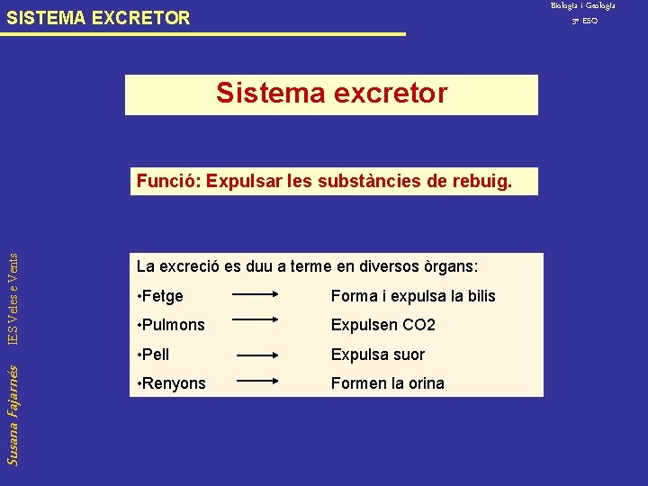 Biolog. Ia i Geolog. Ia 3º ESO SISTEMA EXCRETOR Sistema excretor Susana Fajarnés IES