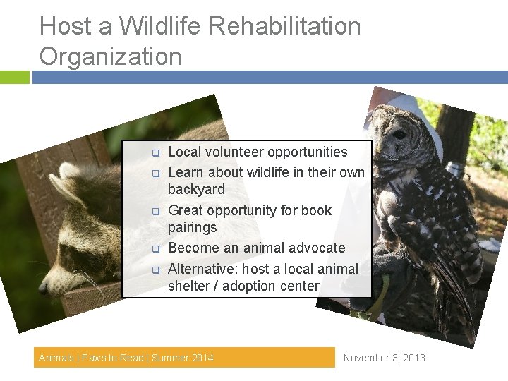 Host a Wildlife Rehabilitation Organization q q q Local volunteer opportunities Learn about wildlife Host a Wildlife Rehabilitation Organization q q q Local volunteer opportunities Learn about wildlife