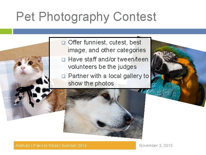 Pet Photography Contest q q q Offer funniest, cutest, best image, and other categories Pet Photography Contest q q q Offer funniest, cutest, best image, and other categories