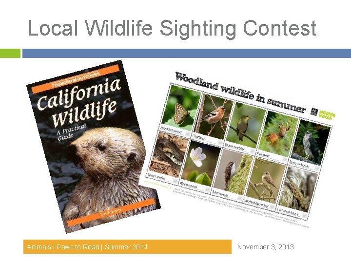 Local Wildlife Sighting Contest Animals | Paws to Read | Summer 2014 November 3, Local Wildlife Sighting Contest Animals | Paws to Read | Summer 2014 November 3,