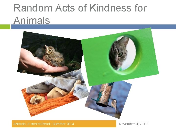 Random Acts of Kindness for Animals | Paws to Read | Summer 2014 November Random Acts of Kindness for Animals | Paws to Read | Summer 2014 November